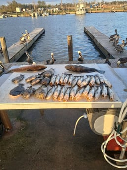 Fishing in Lafitte, Louisiana