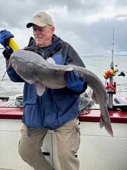 Fishing in Decatur, Alabama
