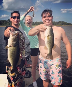 Largemouth Bass fishing in Kissimmee, Florida