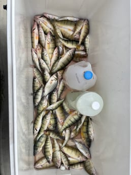 Fishing in Indianapolis, Indiana