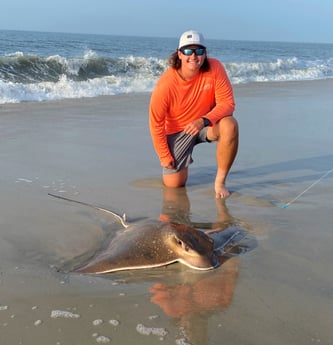 Ray, Stingray Fishing in Stone Harbor, New Jersey
