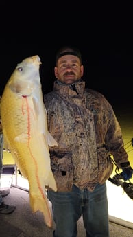 Carp Fishing in Waco, Texas