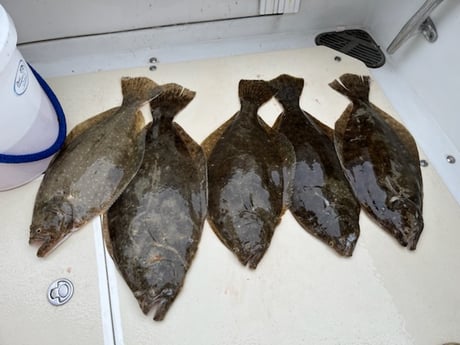 Fluke fishing in Montauk, New York