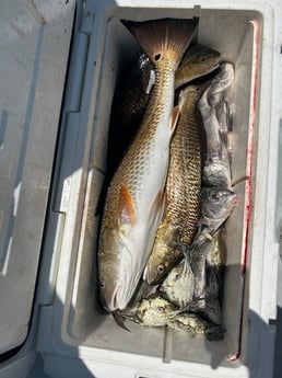 Redfish Fishing in Port O'Connor, Texas