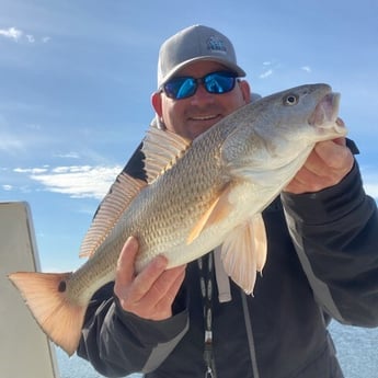 Redfish Fishing in Beaufort, North Carolina