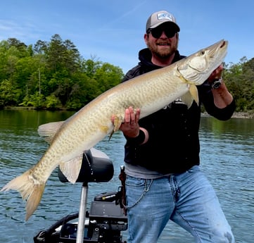 Muskie Fishing in Knoxville, Tennessee