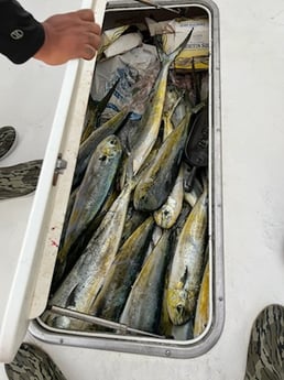 Fishing in Santa Rosa Beach, Florida