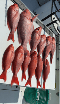 Fishing in Gulf Shores, Alabama
