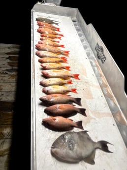 Fishing in Sebastian, Florida