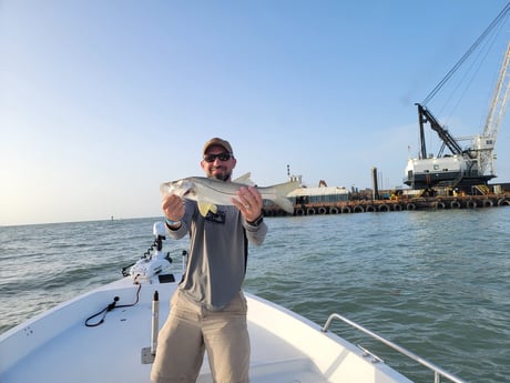 Snook fishing in Titusville, Florida