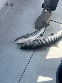 Fishing in Keyport, New Jersey