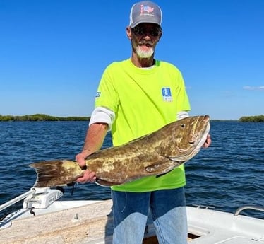 Gag Grouper Fishing in Crystal River, Florida