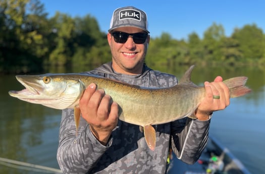 Muskie fishing in Knoxville, Tennessee