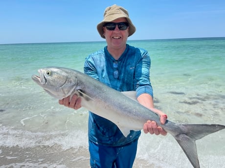 Fishing in Sarasota, Florida