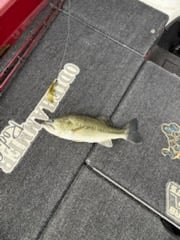 Fishing in Alba, Texas