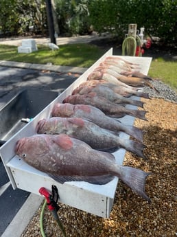 Fishing in Sarasota, Florida