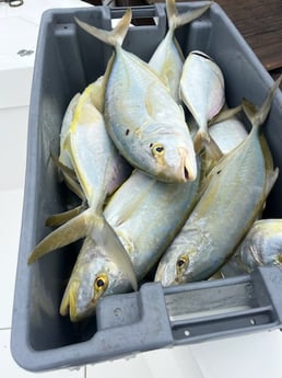 Fishing in Key West, Florida