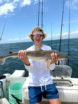Fishing in Wilmington, North Carolina