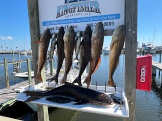 Fishing in Gulfport, Mississippi