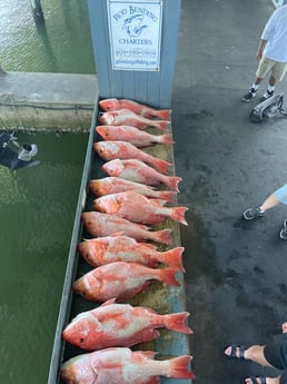 Red Snapper fishing in Galveston, Texas