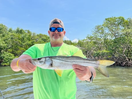 Snook Fishing in Holmes Beach, Florida