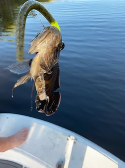 Fishing in Pembroke Pines, Florida