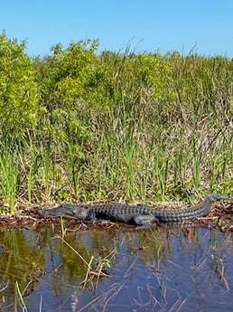 Fishing in Weston, Florida