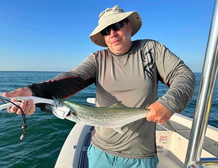 Spanish Mackerel Fishing in Sarasota, Florida