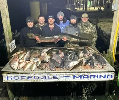 Alligator Gar, Blue Catfish, Redfish Fishing in St. Bernard, Louisiana