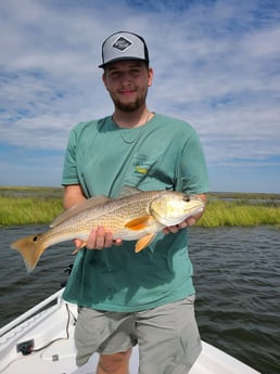Redfish Fishing in Yscloskey, Louisiana