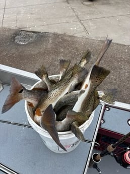 Fishing in Port Aransas, Texas