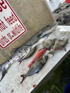 Fishing in Port Orange, Florida