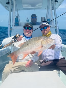 Fishing in Marathon, Florida