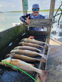 Redfish Fishing in Rio Hondo, Texas