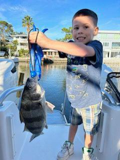 Black Drum Fishing in Clearwater, Florida