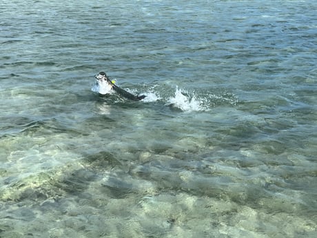 Fishing in Summerland Key, Florida