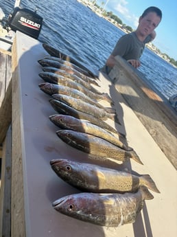 Fishing in Houston, Texas