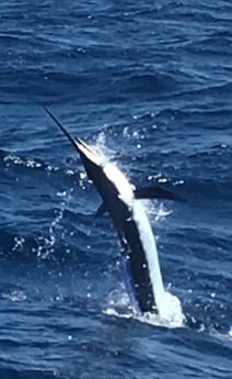 Fishing in Hatteras, North Carolina