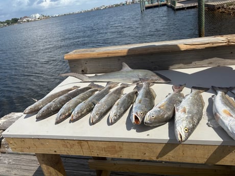 Fishing in Houston, Texas