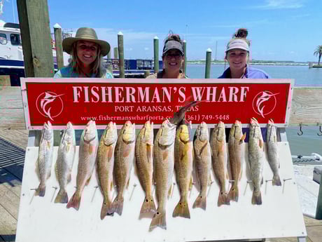 Redfish, Speckled Trout / Spotted Seatrout fishing in Ingleside, Texas