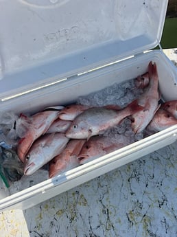 Fishing in Mercedes, Texas