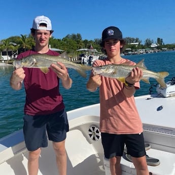 Snook fishing in Placida, Florida