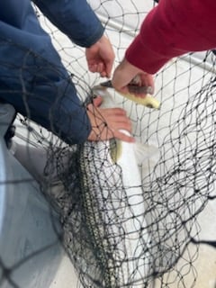 Fishing in Keyport, New Jersey