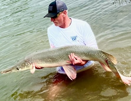 Alligator Gar Fishing in Dallas, Texas