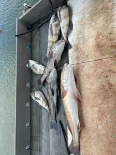 Fishing in Rockport, Texas