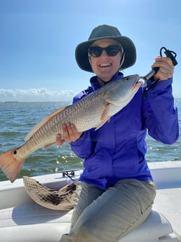 Redfish Fishing in Cape Coral, Florida