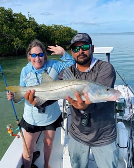 Snook Fishing in Tavernier, Florida