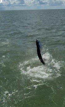 Fishing in Marco Island, Florida