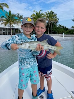 Snook fishing in Placida, Florida