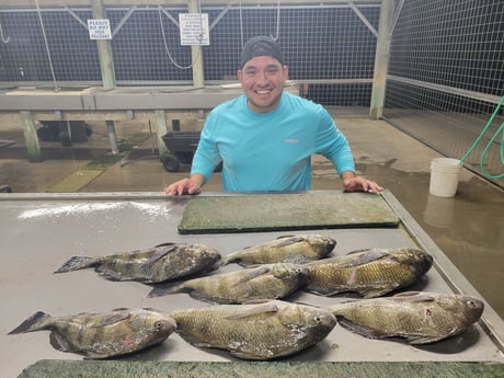 Black Drum Fishing in Matagorda, Texas